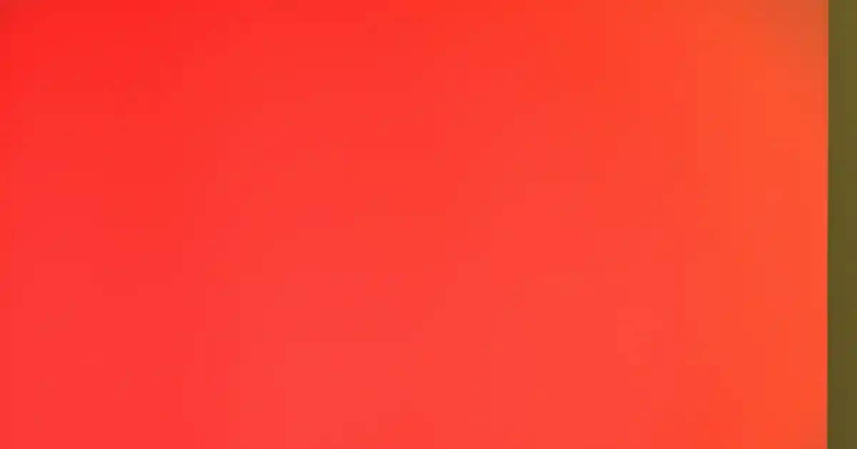 Kara Mürver Nedir ve Kozmetik Alanında Kullanım Fırsatları Hakkında Detaylı Bilgi