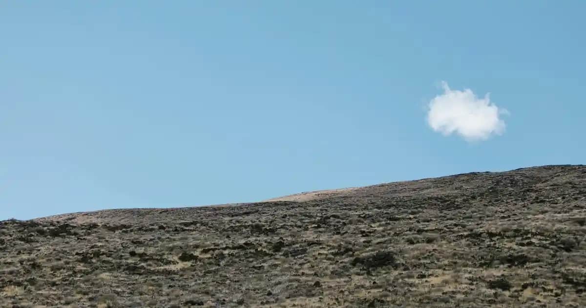 Kara Mürver ve Kozmetik Dünyasındaki Yeri: Doğal Güzellik ve Sağlık Fırsatları
