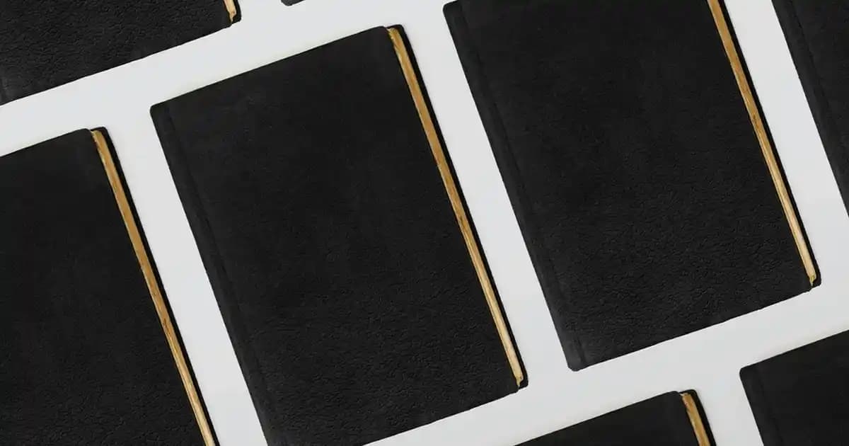 Kara Mürverin Kozmetikteki Kullanımı ve Faydaları Hakkında Detaylı Bilgi