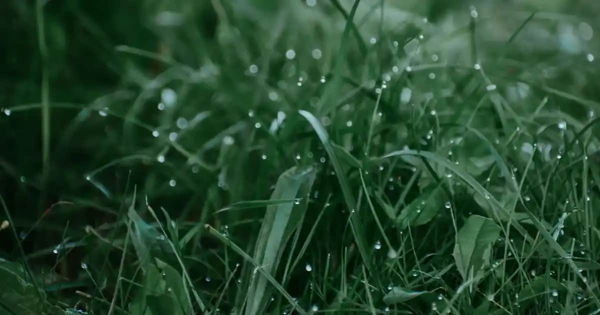 Karın Sıkılaştırıcı Kremler: Doğru Seçim ve Etkili Kullanım Yöntemleri