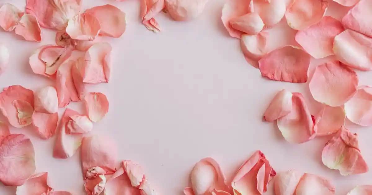 Kepeğe ve Saç Dökülmesine Karşı En İyi Şampuanlar: Saç Sağlığı İçin Bilmeniz Gerekenler