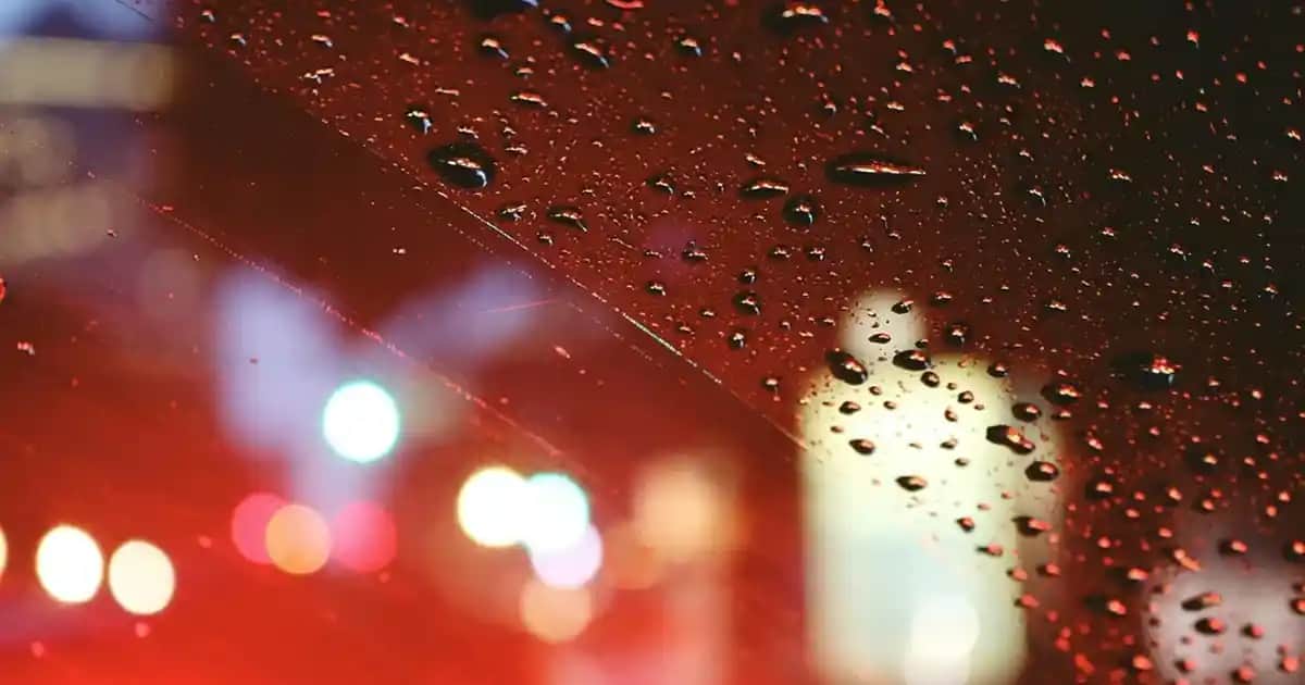 Kepek Karşıtı Şampuan Seçerken Bilmeniz Gerekenler ve En İyi Ürünler 2025