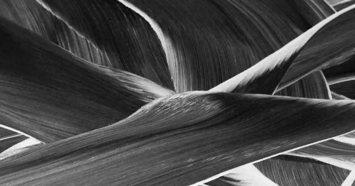 Kerastase Extentioniste: Uzun ve Sağlıklı Saçlar İçin Etkili Bakım Çözümü