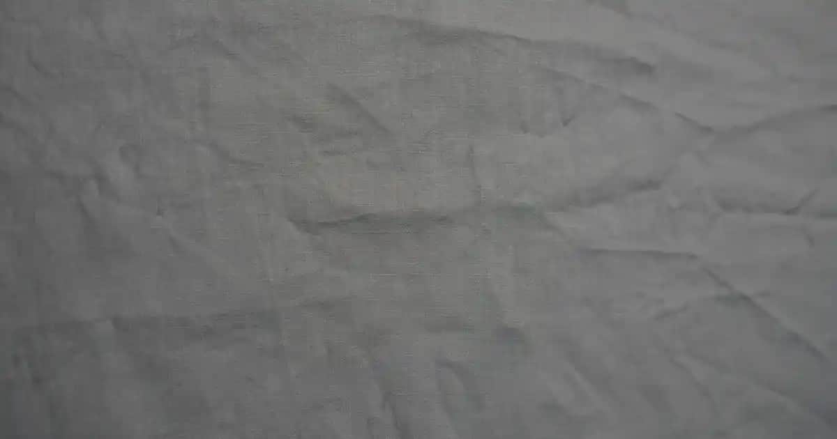 Kıvırcık Saçlar İçin En İyi Saç Kremi Önerileri ve Bakım İpuçları