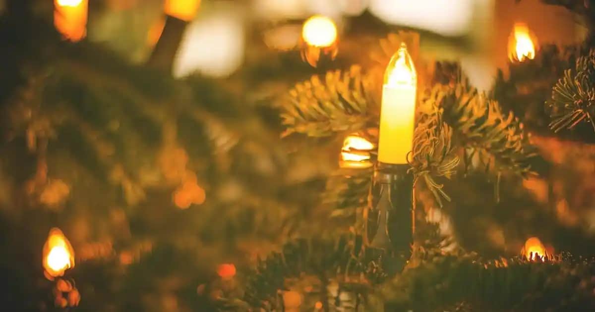 Kolajen Nedir ve Cilt Sağlığı ile Genel Vücut Fonksiyonlarındaki Önemi