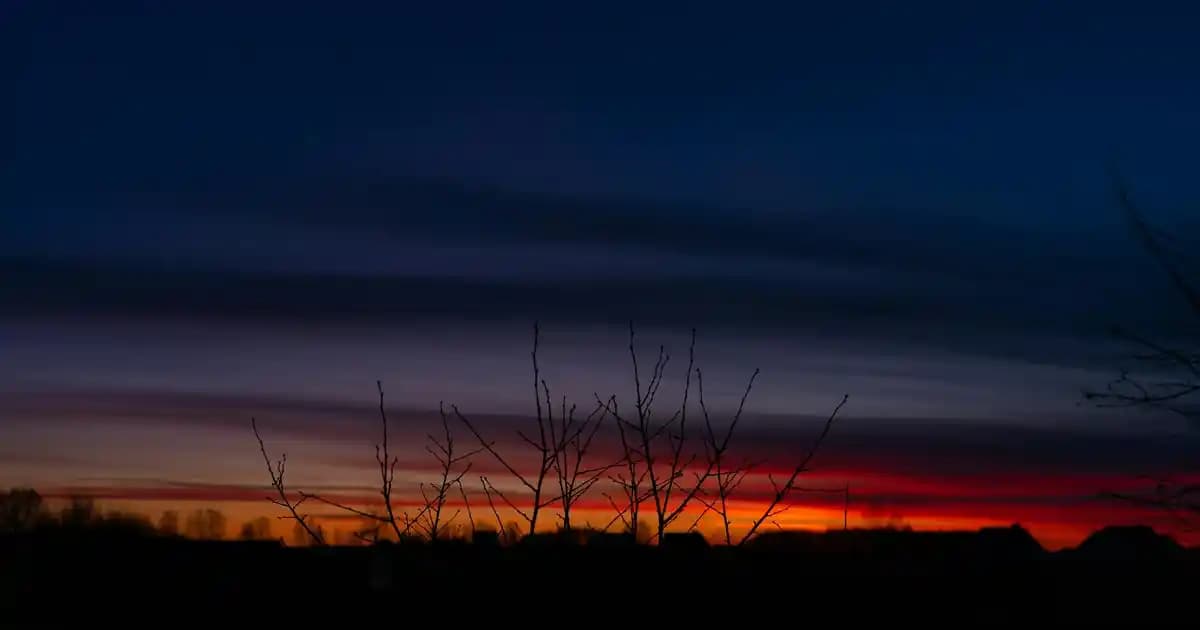 Kolajen ve Omega-3 Takviyeleriyle Güzellik ve Sağlığınızı Destekleyin