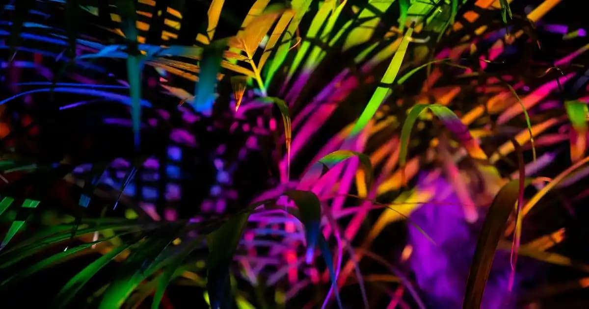 Kollajen Takviye Edici Gıdalar: Güzellik ve Sağlıkta Yeni Trendlerin Detaylı İncelemesi