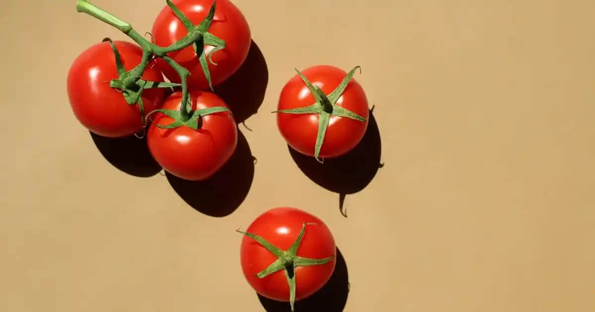 Kollajen ve C Vitamini Kombinasyonu: Cilt Sağlığını Destekleyen Etkili Bir Yaklaşım