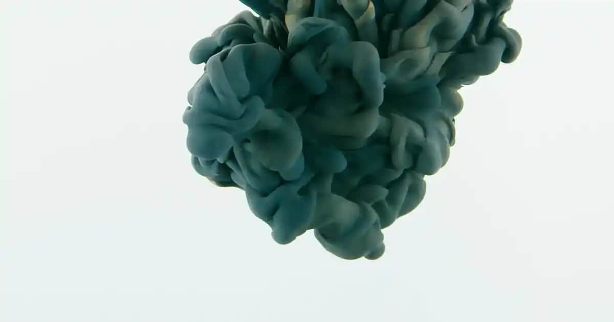 Kollajen ve Elastinin Gücü: Cilt Sağlığını Koruyan Temel Proteinler