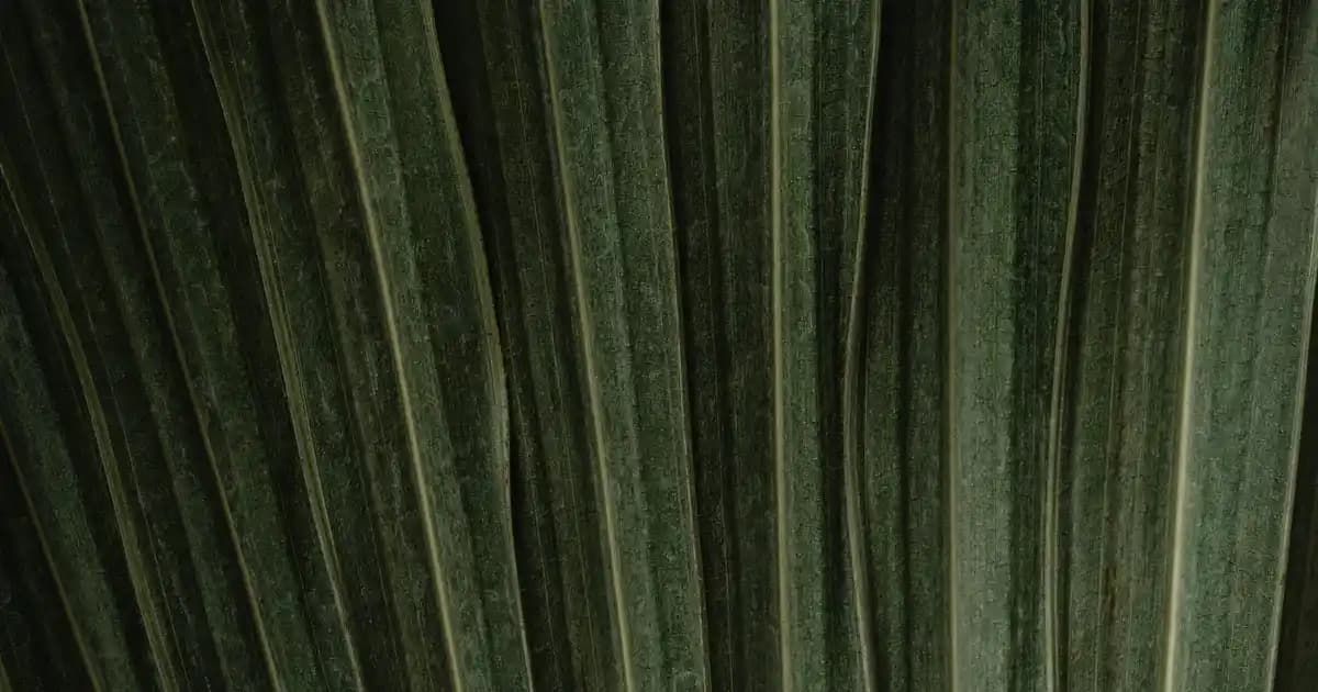 Kotex Kadın Hijyen Ürünleri ve Kozmetik Bağlantısı Üzerine Detaylı İnceleme