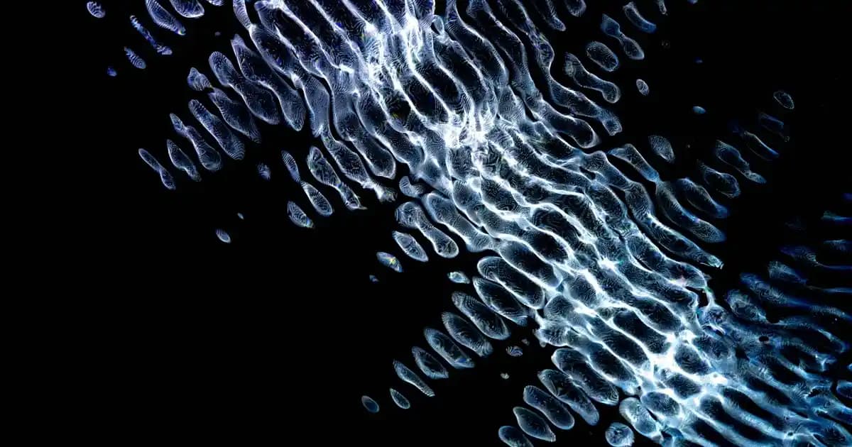 Kozmetik Sektöründe Araç Gereçleri ve Uygulama Teknikleri Hakkında Detaylı Bilgi