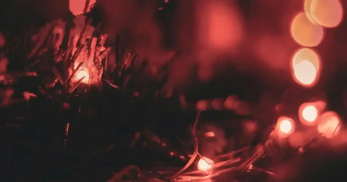 Kozmetik ve Saç Boyasında 6.35 Çikolata Kahve Rengi ile Doğal ve Kalıcı Görünüm