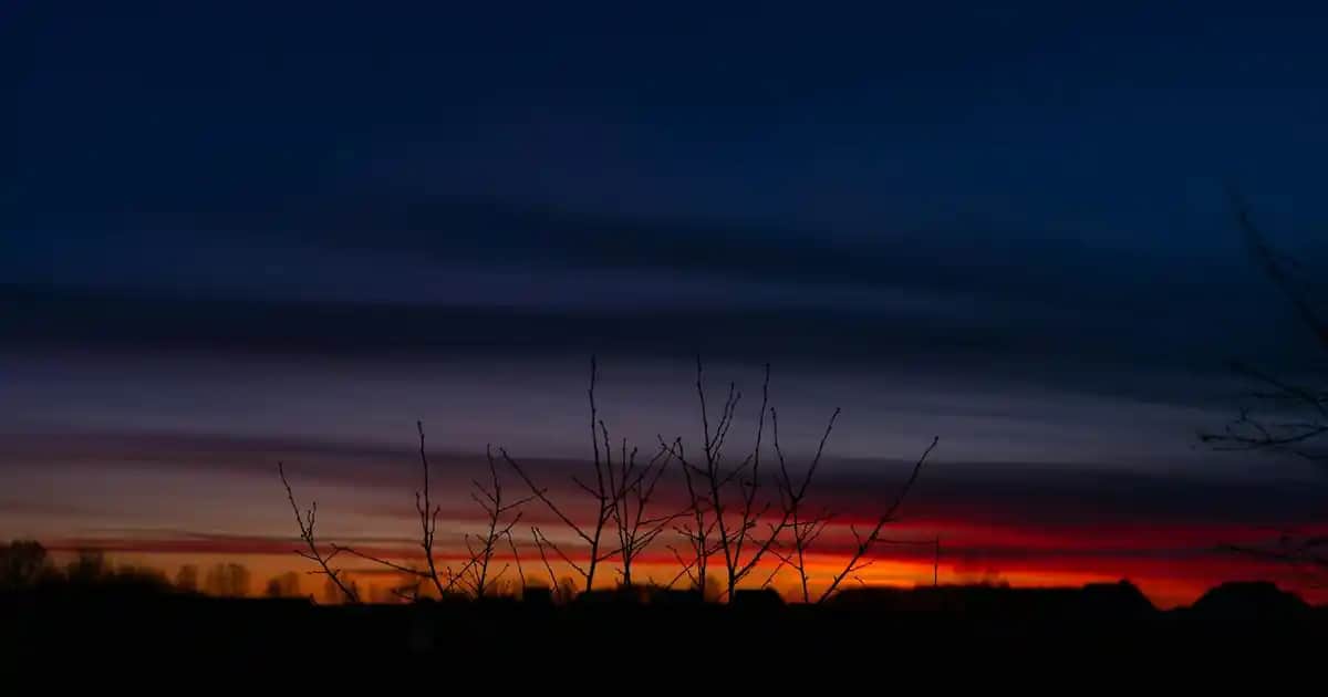 Kozmetik ve Sağlıkta Multivitaminlerin Rolü ve Cilt Güzelliğine Etkisi