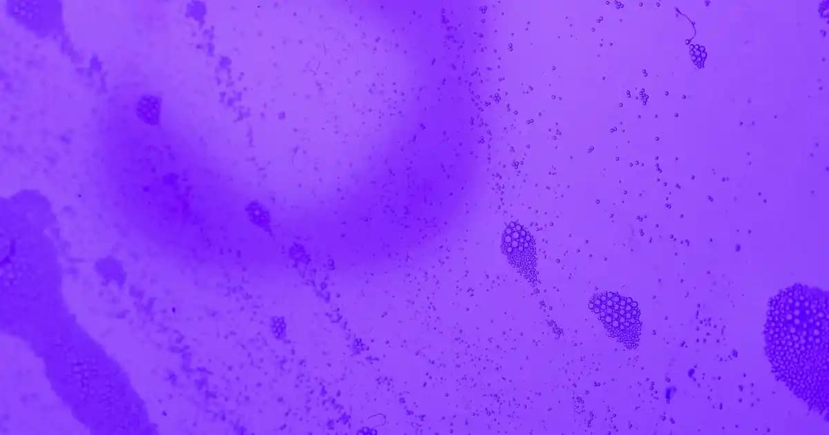 Kozmetikte Magnezyum Renginin Anlamı ve Kullanım Alanları