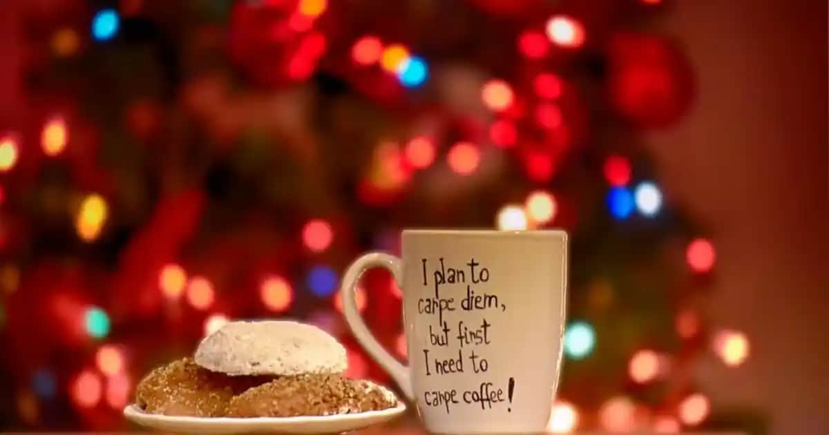 Krill Yağı Nedir ve Kozmetik ile Sağlık Alanındaki Faydaları Nelerdir