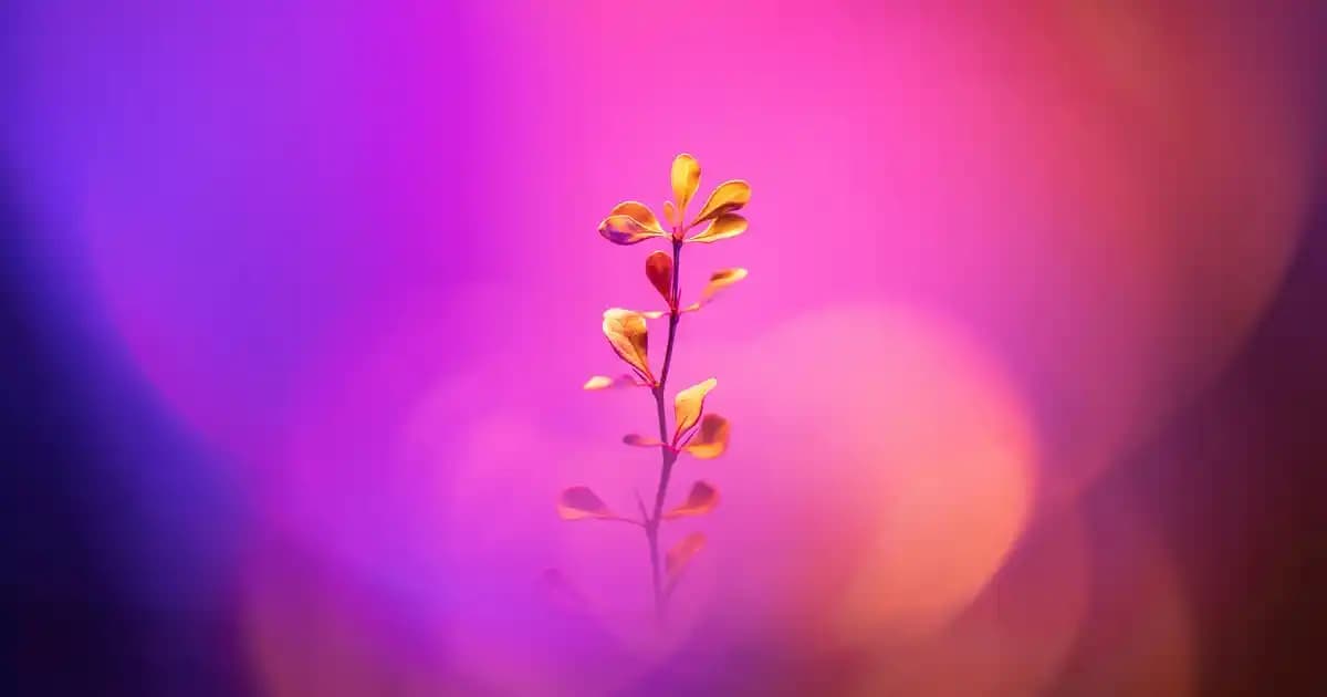 Kumral Saç Rengi ve Boya Numaraları: Doğal ve Şık Görünüm İçin En İyi Rehber