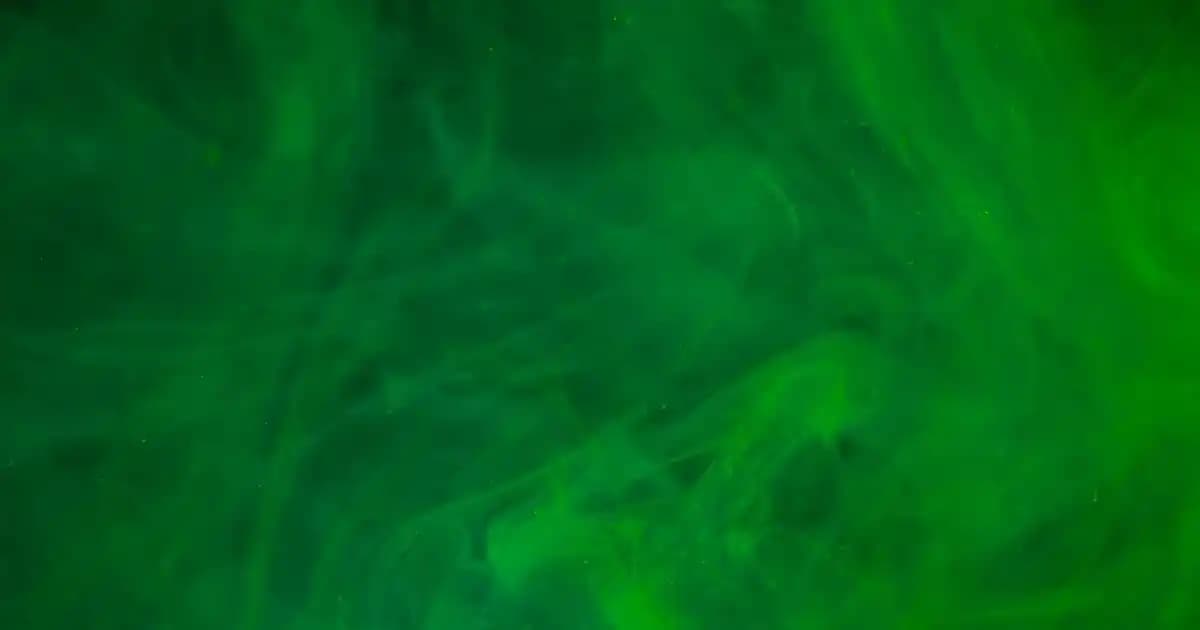 L'Oréal'in Kozmetik Sektöründeki Yeri ve Ürün Çeşitliliği Hakkında Bilgi