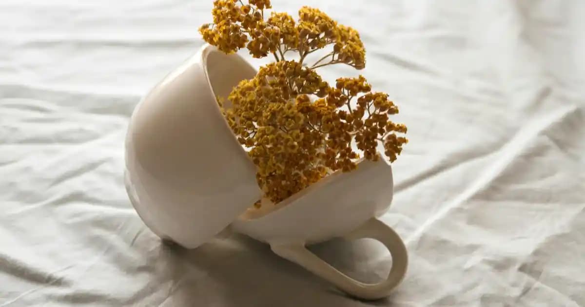 L'Oréal Paris Les Macarons Serisi: Renkli ve Aromatik Makyaj Koleksiyonu İncelemesi