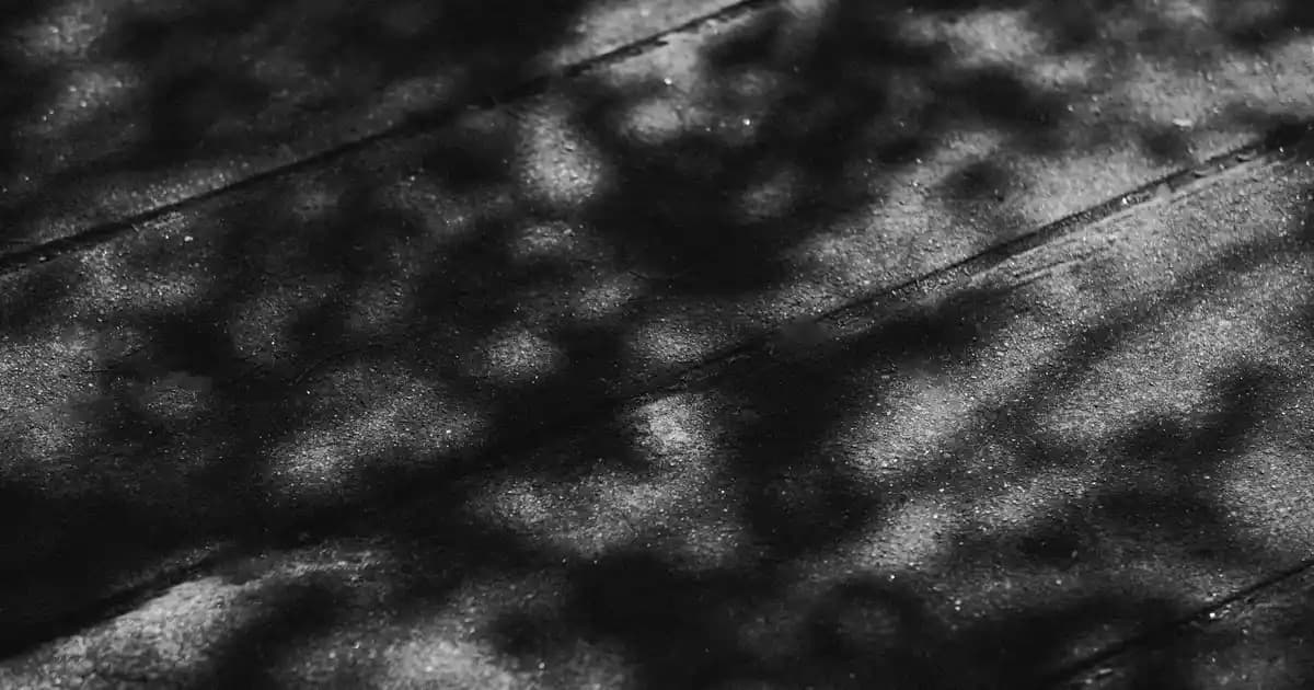 L'Oréal Telescopic Lift Maskara: Uzun ve Hacimli Kirpikler İçin Yenilikçi Çözüm