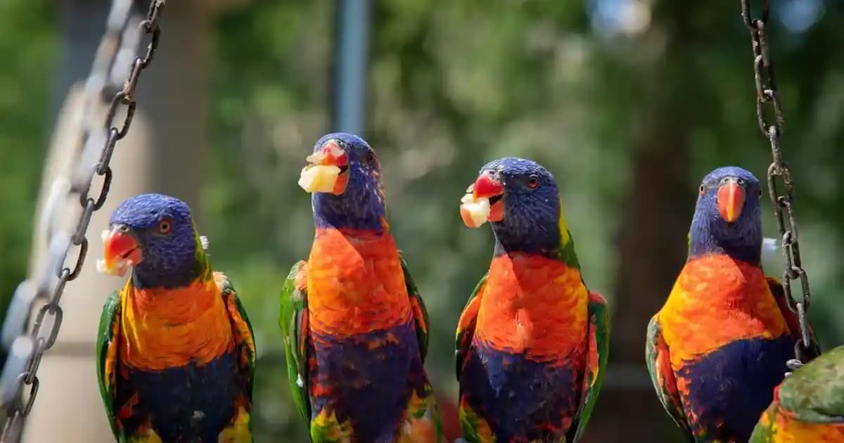 La Roche-Posay Anthelios Age Correct SPF 50 Kırışıklık Karşıtı Güneş Koruyucu Ürün