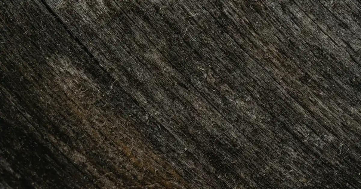 La Roche Posay BB Güneş Kremi: Güneş Koruma ve Cilt Eşitleme Özellikleriyle Pratik Çözüm