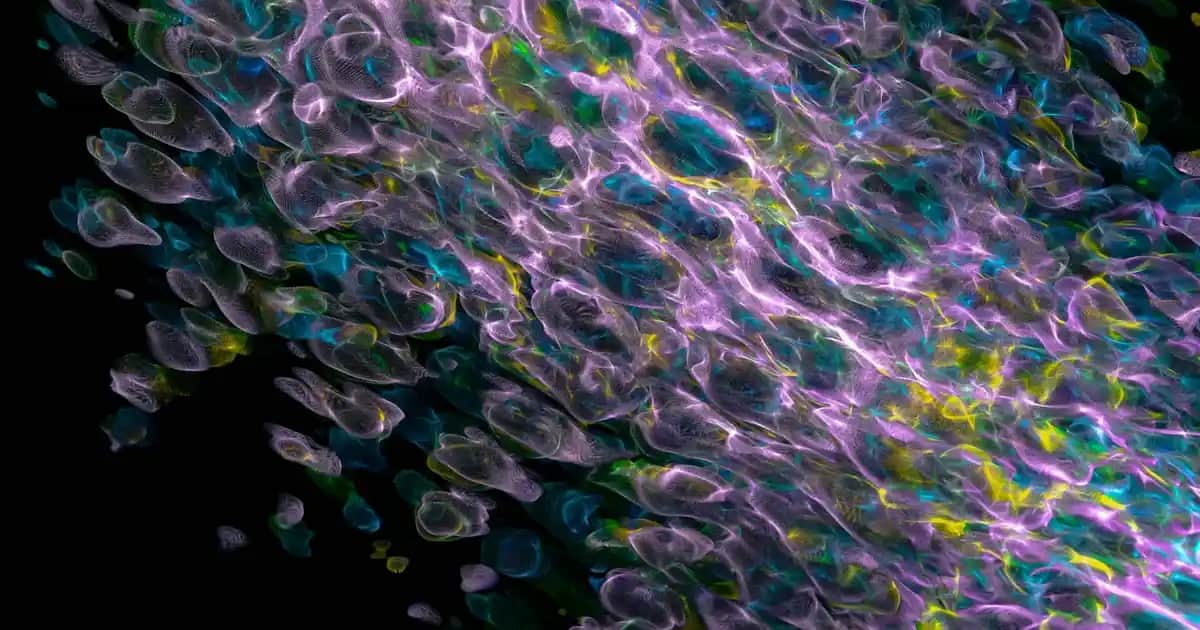 La Roche-Posay Güneş Kremi İçeriği ve Koruma Özellikleri Hakkında Detaylar