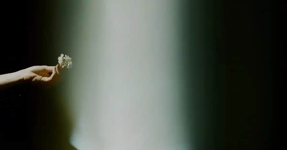 Light Beige Nedir? Kozmetik Dünyasında Renklerin Anlamı ve Kullanımı