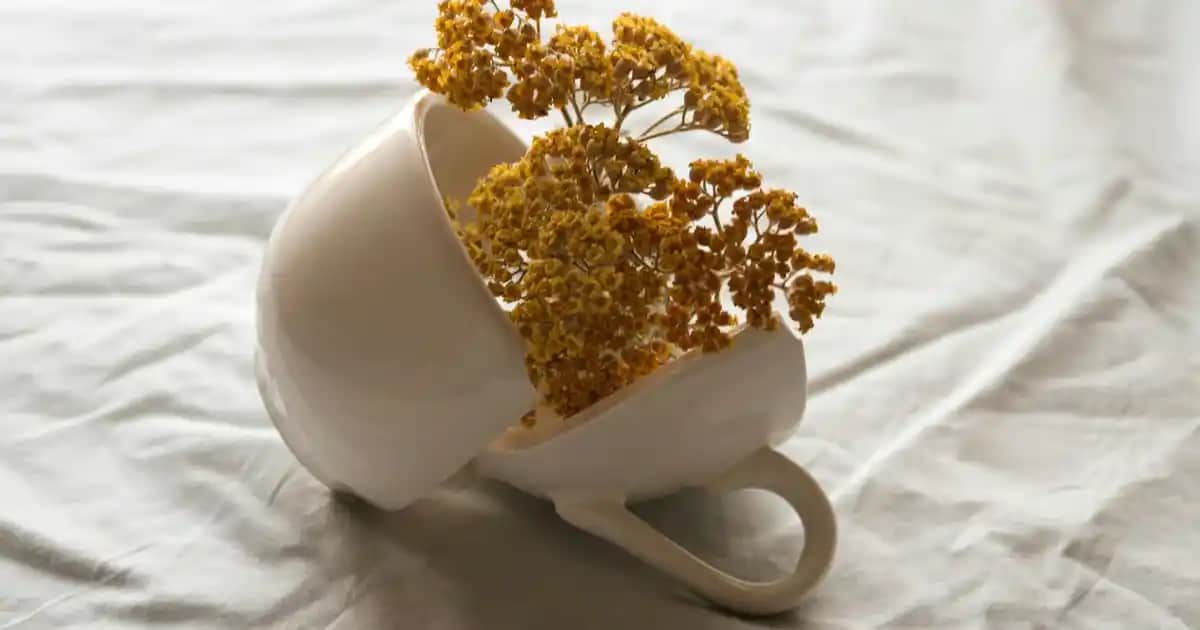 Luv It! Leke Kremi ile Ciltteki Lekeleri Azaltma ve Ton Dengesini Sağlama Rehberi