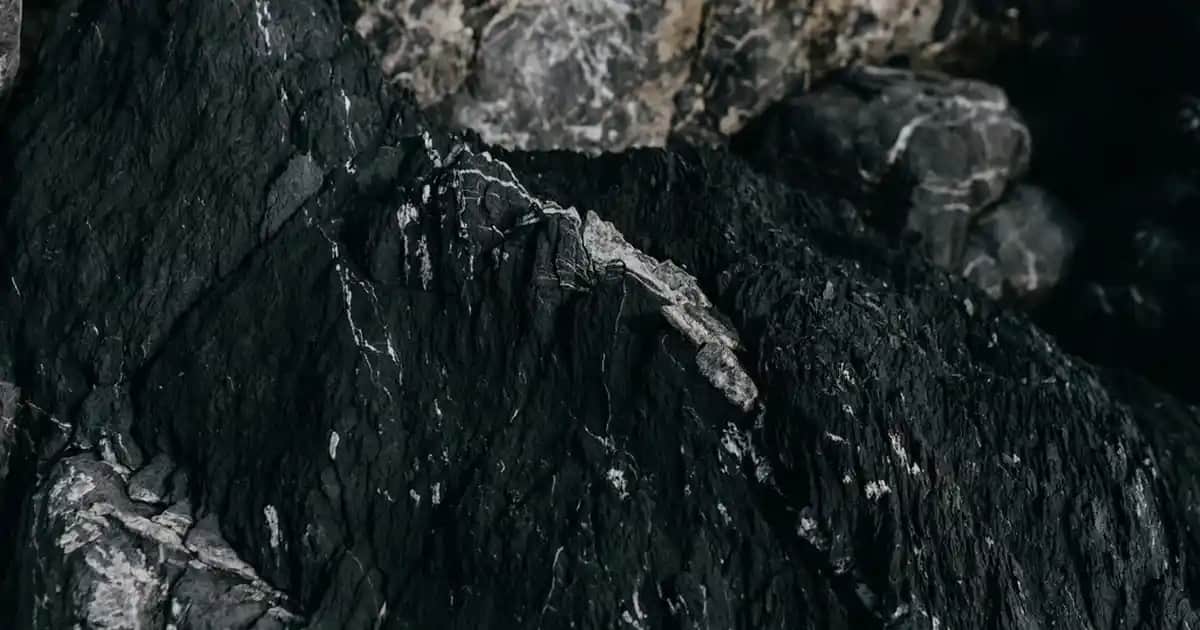 Magnesium Diasporal Saşe ile Günlük Sağlık ve Güzellik Destekleri