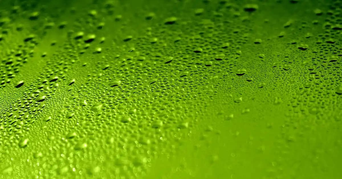 Magnezyum Kompleksinin Kozmetik Alanındaki Faydaları ve Cilt Sağlığına Etkileri