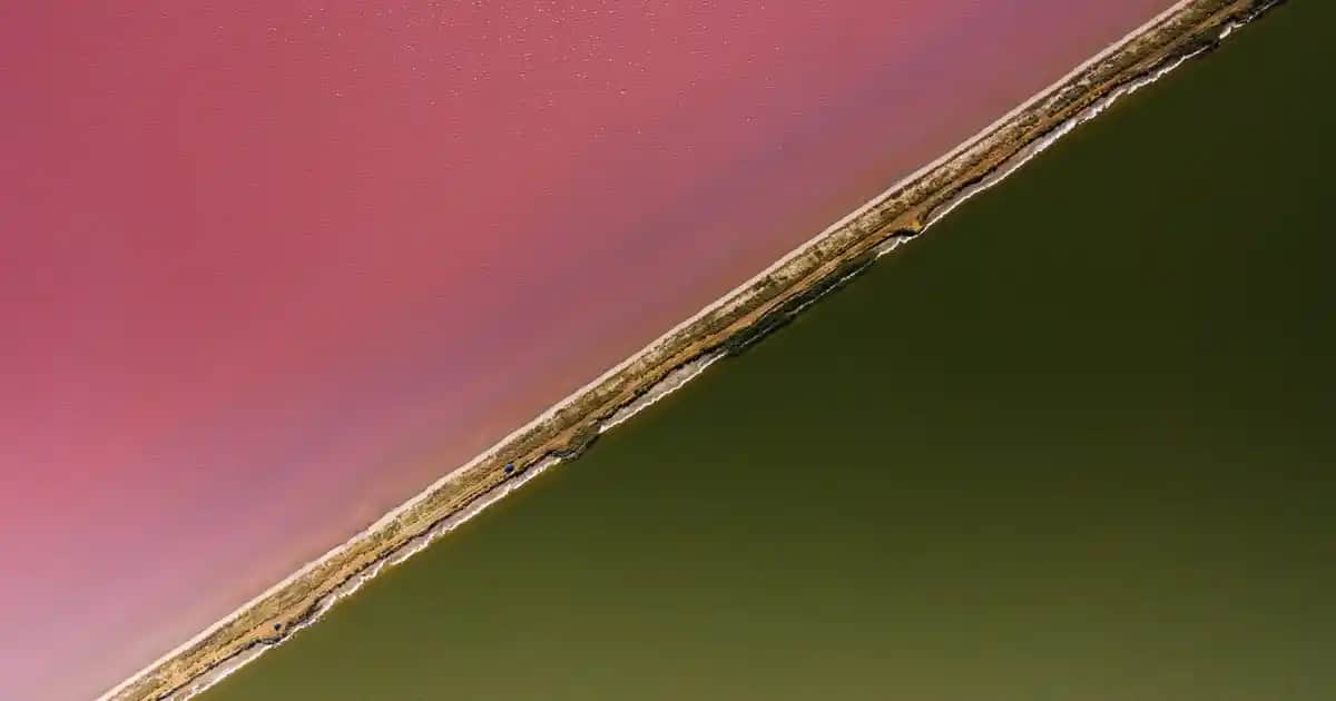 Magnezyum Malatın Kozmetik Dünyasındaki Yeri ve En Güvenilir Markalar