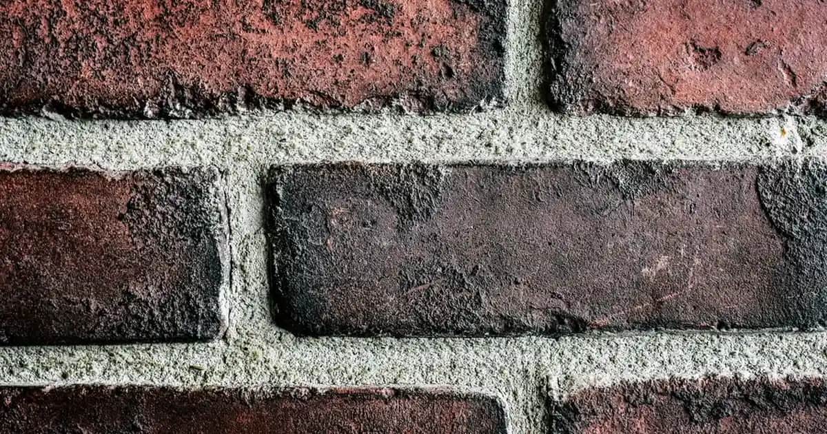 Makyaj Fırçası Seçimi ve Kullanımı Hakkında Kapsamlı Rehber