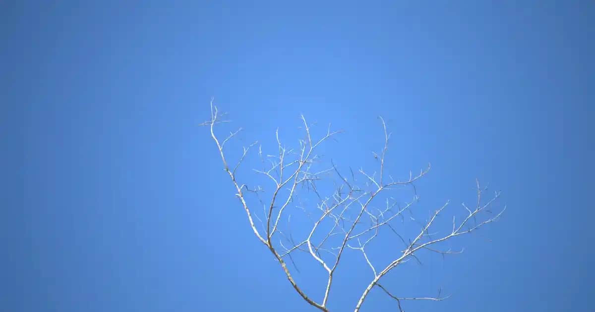 Makyaj Temizleme Yöntemleri ve Cilt Sağlığı İçin Doğru Ürün Seçimi Rehberi