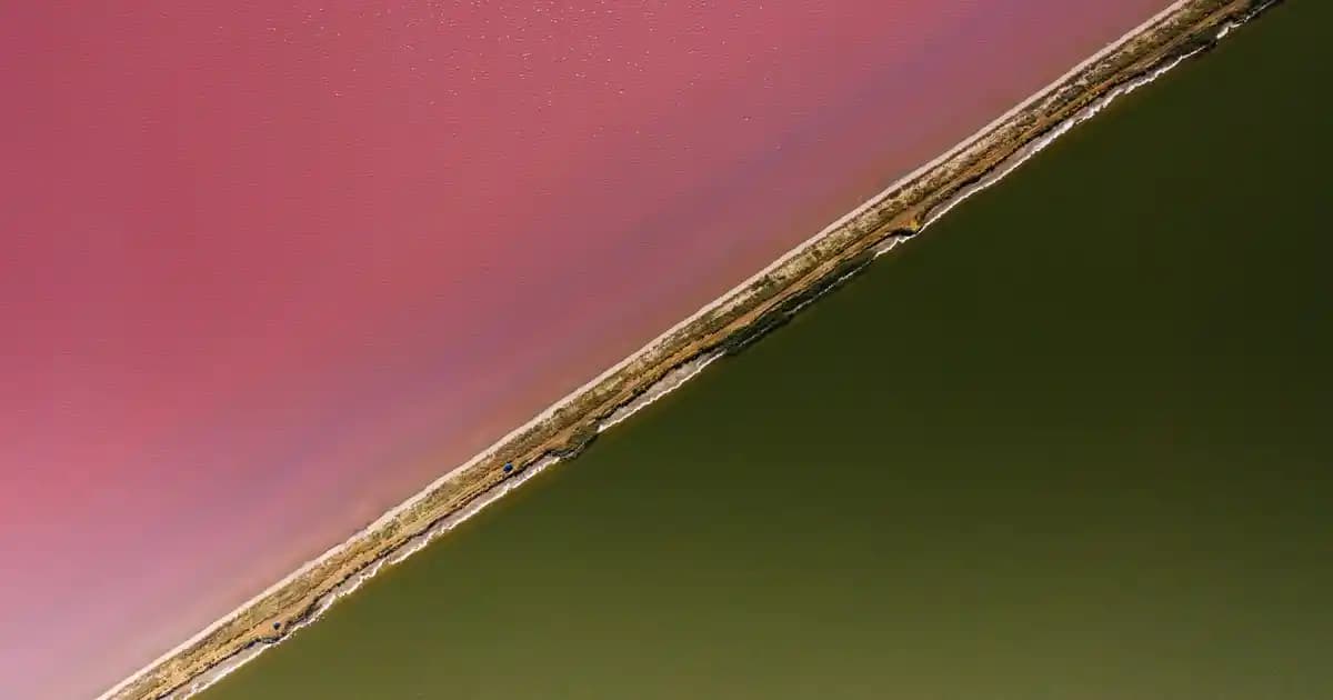 Makyajın Temel Taşı Primer ve Makyaj Bazlarının Seçimi ve Kullanımı Rehberi