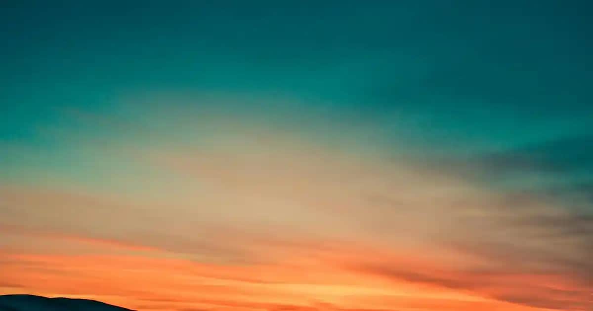 Mantar Enfeksiyonları İçin En Etkili Kremler ve Kullanım Kriterleri