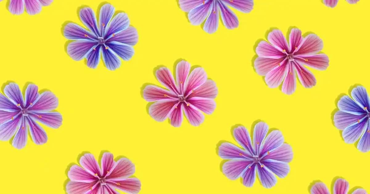 Maybelline Fit Me 104: Açık Tenler İçin Doğal ve Mat Makyaj Ürünü Özellikleri