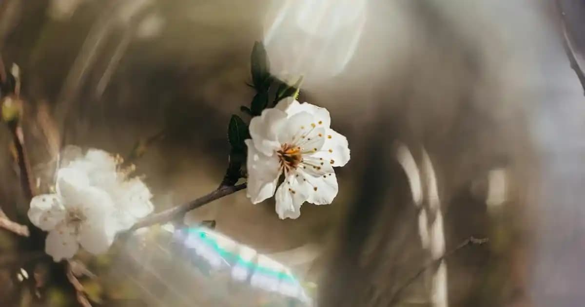 Maybelline Likit Ruj Renkleri ve Trendler: Çeşitler, Seçim ve Uygulama İpuçları