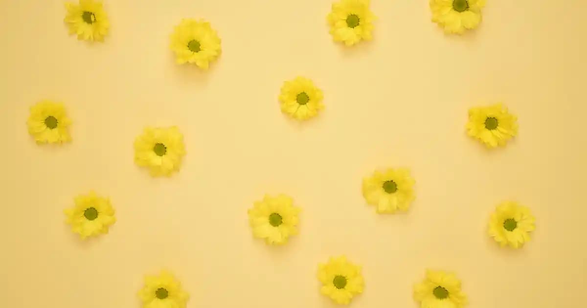 Medohbiotin Nedir Saç, Cilt ve Tırnak Sağlığını Destekleyen Yenilikçi Takviye