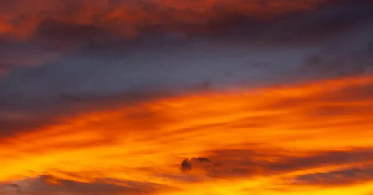 Möller's Omega 3 30 Kapsül: Güzellik ve Sağlığı Destekleyen Yüksek Kaliteli Takviye