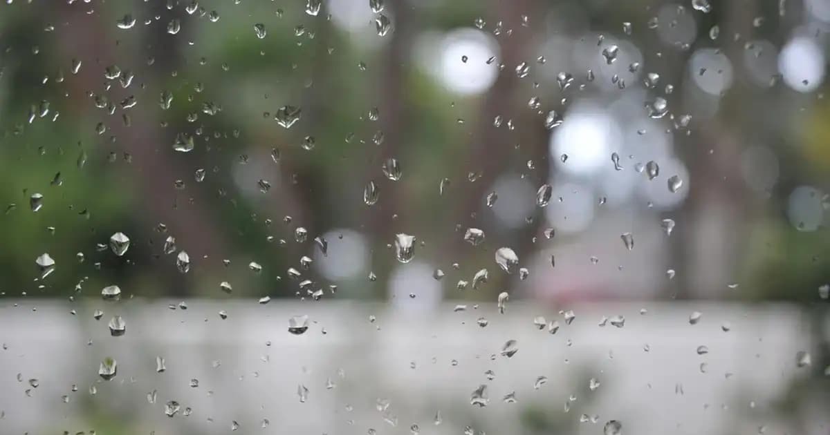 Mor Saç Uçları Trendleri ve Uyum Sağlayan Saç Renkleri Hakkında Detaylı Rehber