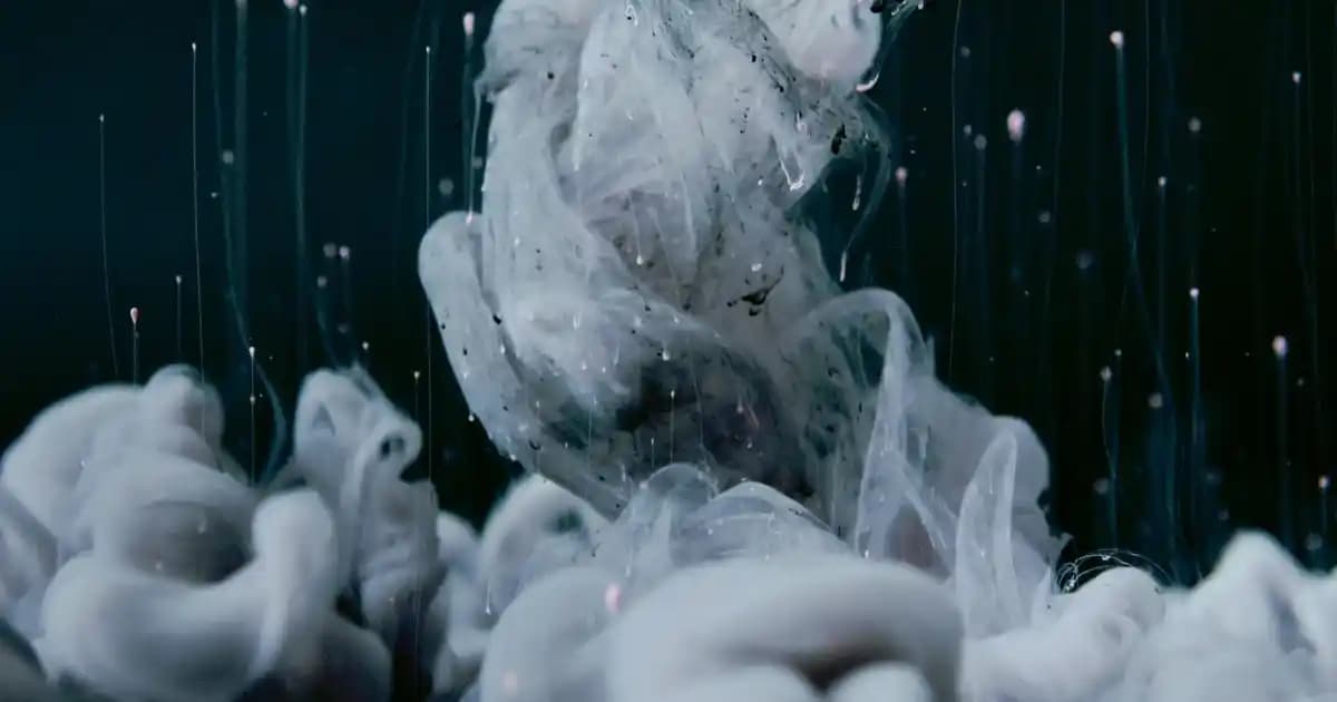 Morfose Saç Kremi ile Saç Bakımında Doğal ve Etkili Sonuçlar Sağlayın