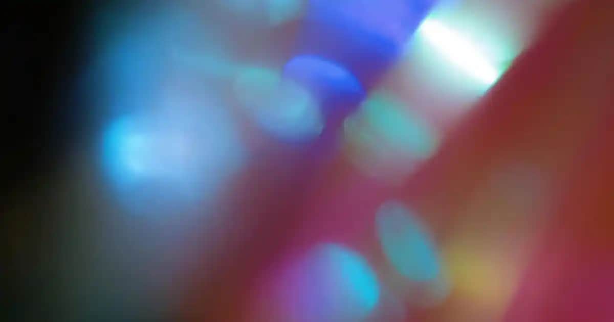 Mustela Stelatopia Serisi Eczema Eğilimli Hassas Ciltler İçin Doğal ve Güçlü Çözümler