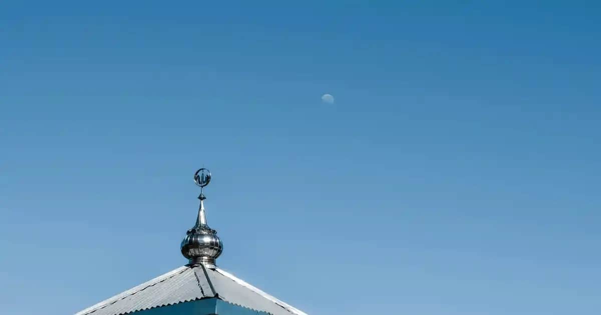 Nevacolor Saç Boyası Renkleri ve Trendler 2025 İçin Stil İpuçları