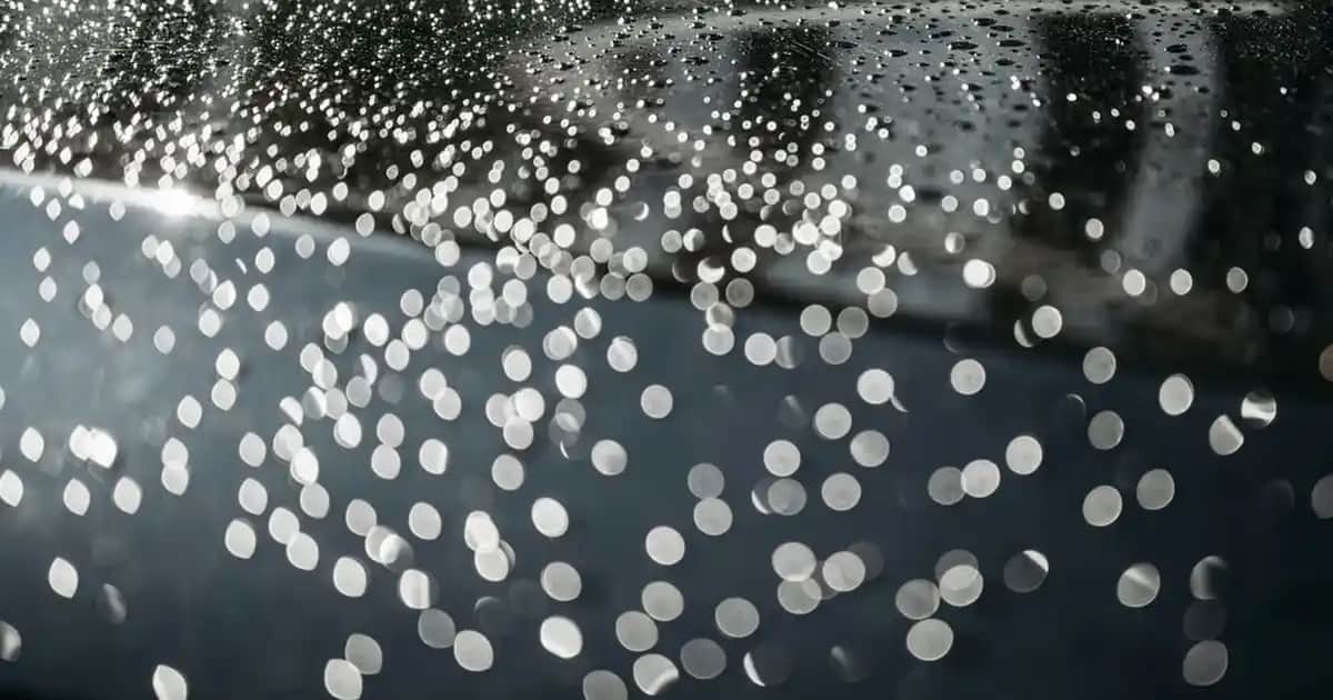 Nivea Anti-Perspirant Ürünleri: Günlük Koruma ve Ferahlık Sağlayan Çözümler