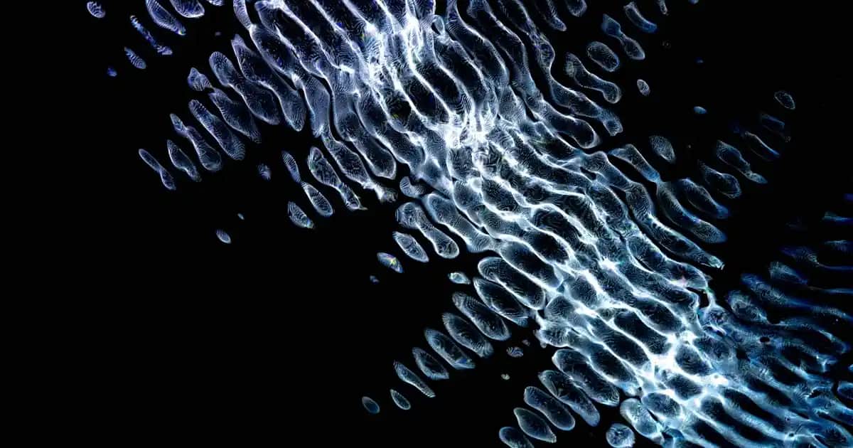 Nivea Cellular Krem Serisi: Anti-Aging ve Aydınlatıcı Özellikleriyle Cilt Bakımı