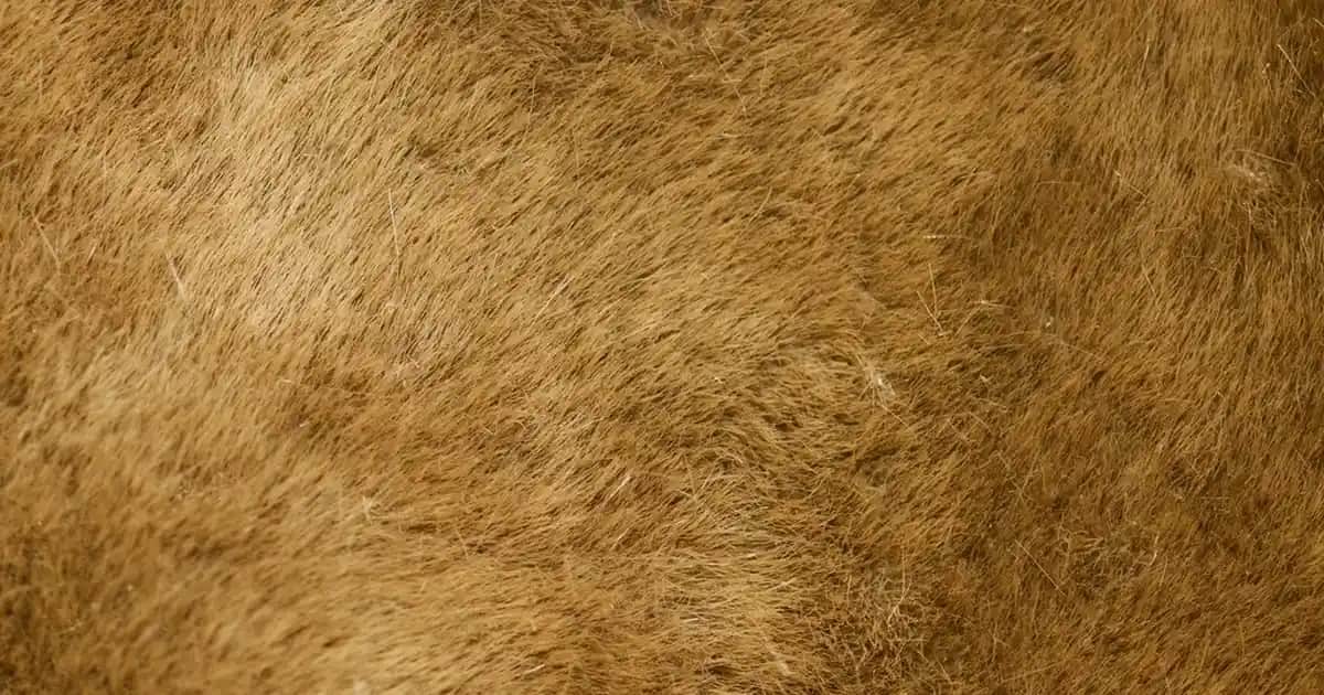 Nivea Make Up Expert Göz Makyaj Bazı Özellikleri ve Kullanım İpuçları