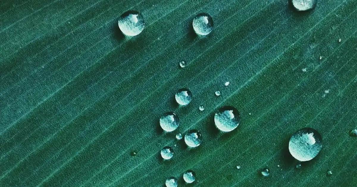 Nivea Makyaj Temizleme Mendili: Hızlı ve Etkili Cilt Temizliği İçin Güvenilir Çözüm