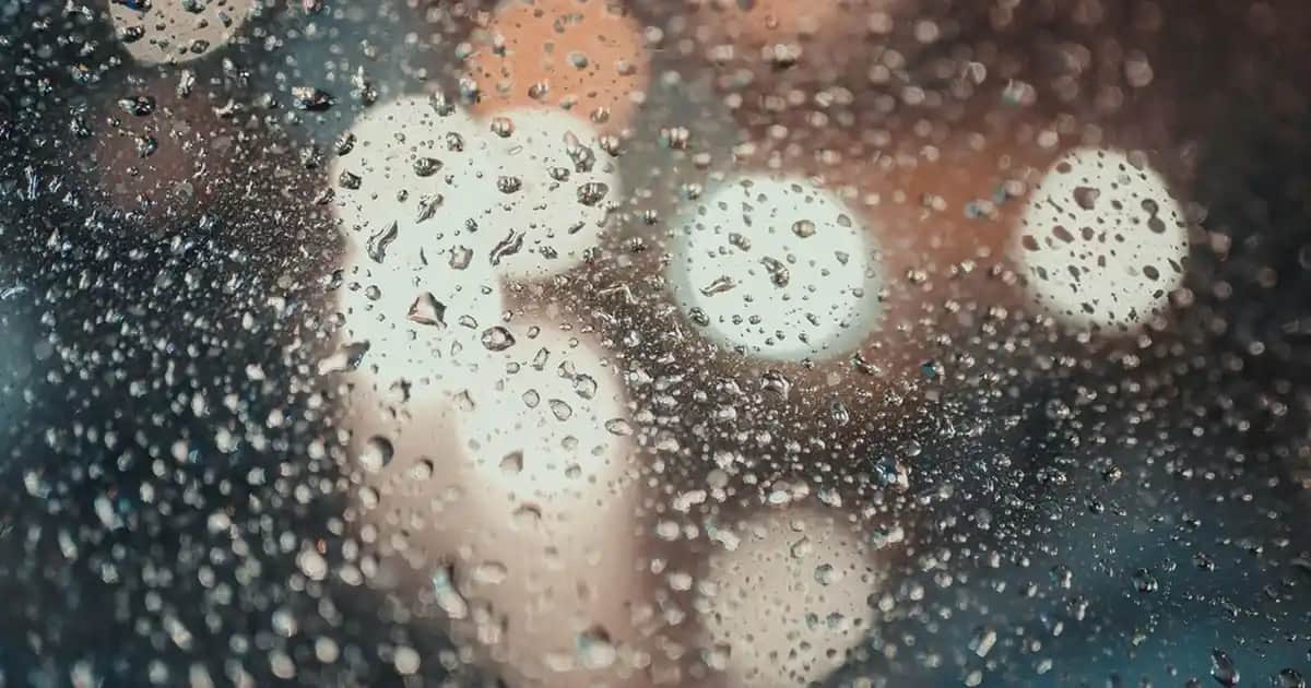 No-Flush Niacin ve Geleneksel Niacin Arasındaki Farklar ve Kullanım Tavsiyeleri