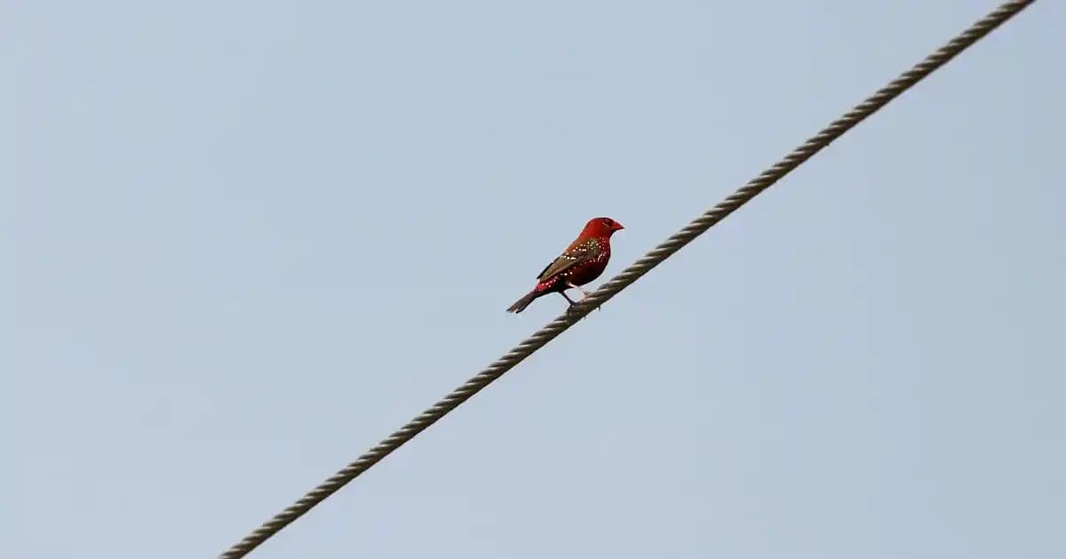 Note Collagen Concealer 02 Göz Altı Kapatıcı SPF 20 ve Kolajen İçeriği ile Cilt Sağlığını Destekler