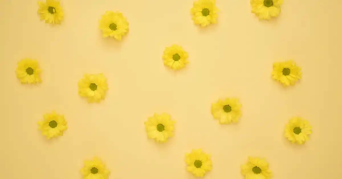 Note Kaş Wax ile Doğal ve Kalıcı Kaş Şekillendirme Sanatı